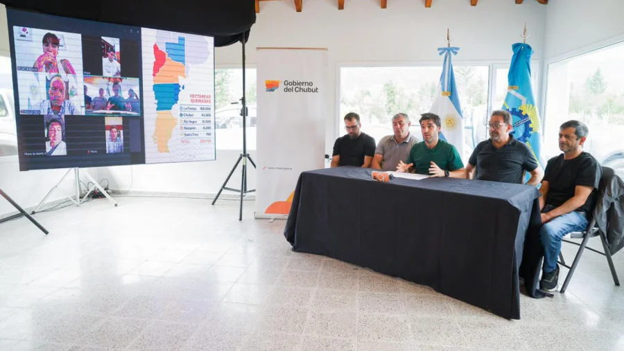 WhatsApp Image 2026-01-27 at 11.35.41 PM